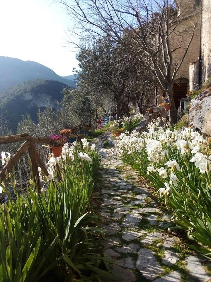 Guesthouse Runcini Ferentillo Extérieur photo